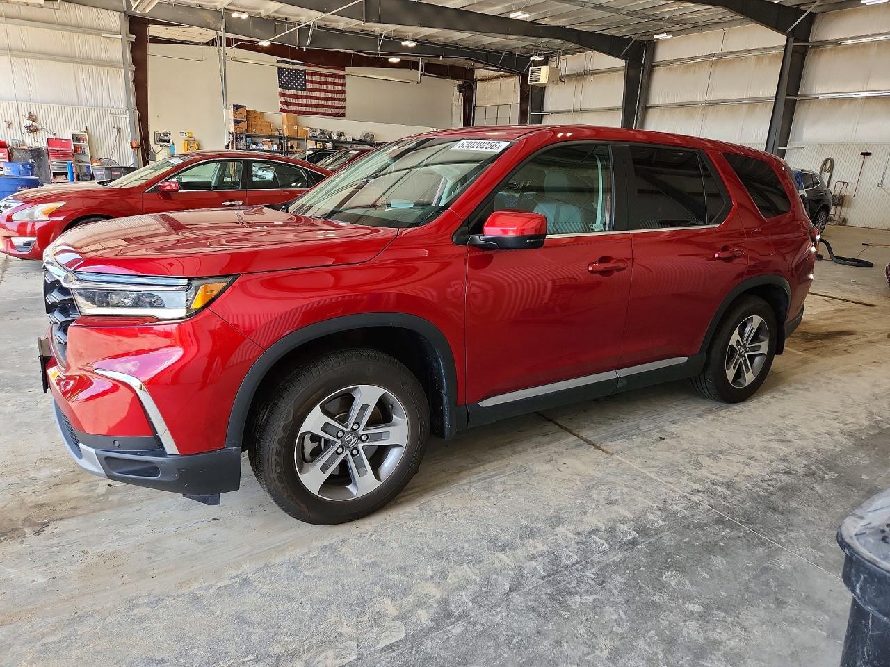 2024 HONDA PILOT EXL | 5FNYG1H56RB021146 | UPCARS