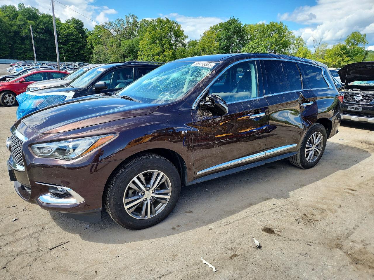 2020 INFINITI QX60 PURE | 5N1DL0MMXLC542694 | UPCARS
