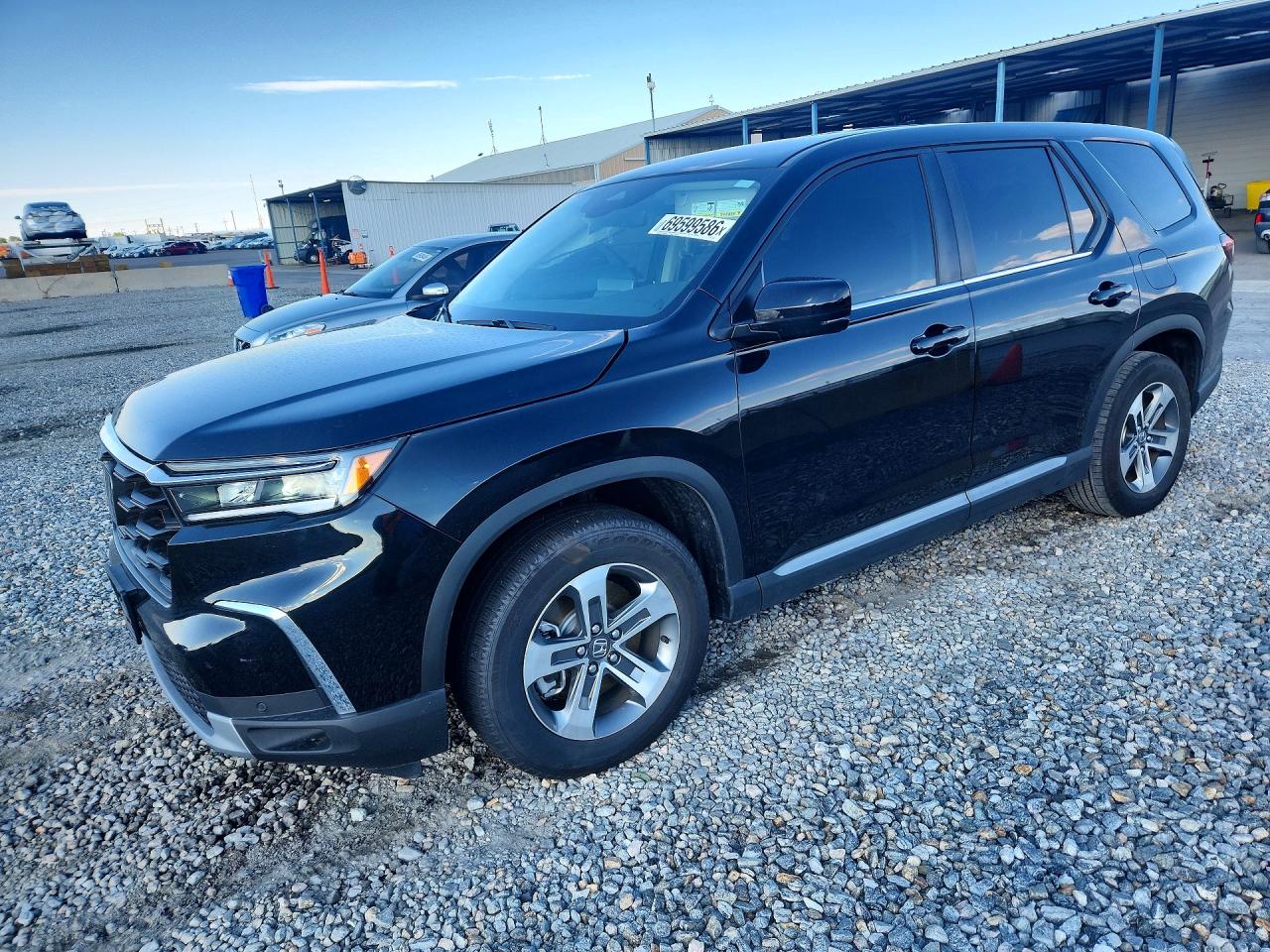 2025 HONDA PILOT EXL | 5FNYG1H42SB106711 | UPCARS