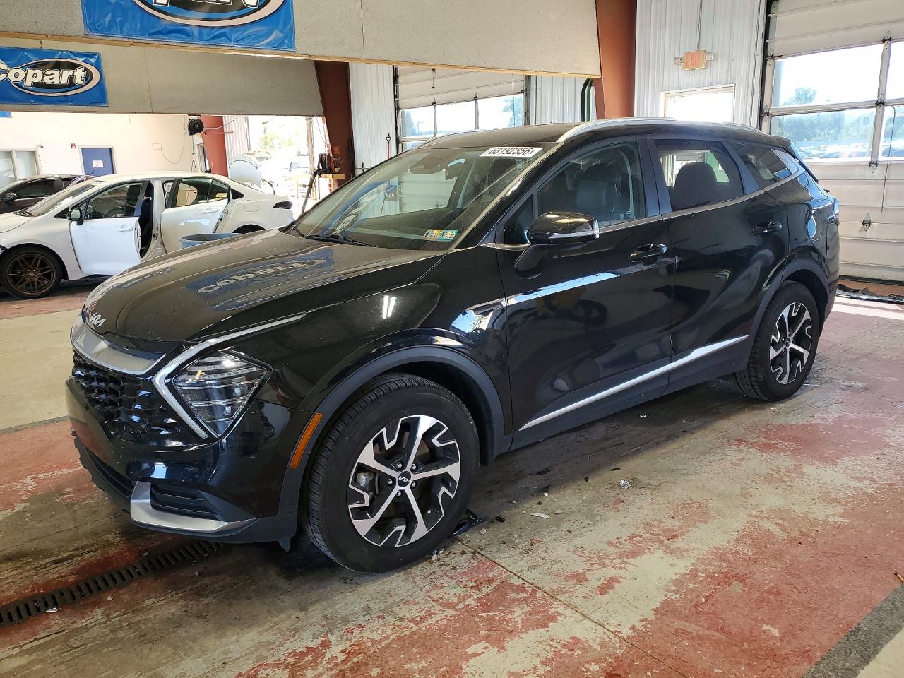2024 KIA SPORTAG EX | 5XYK3CDF6RG156910 | UPCARS