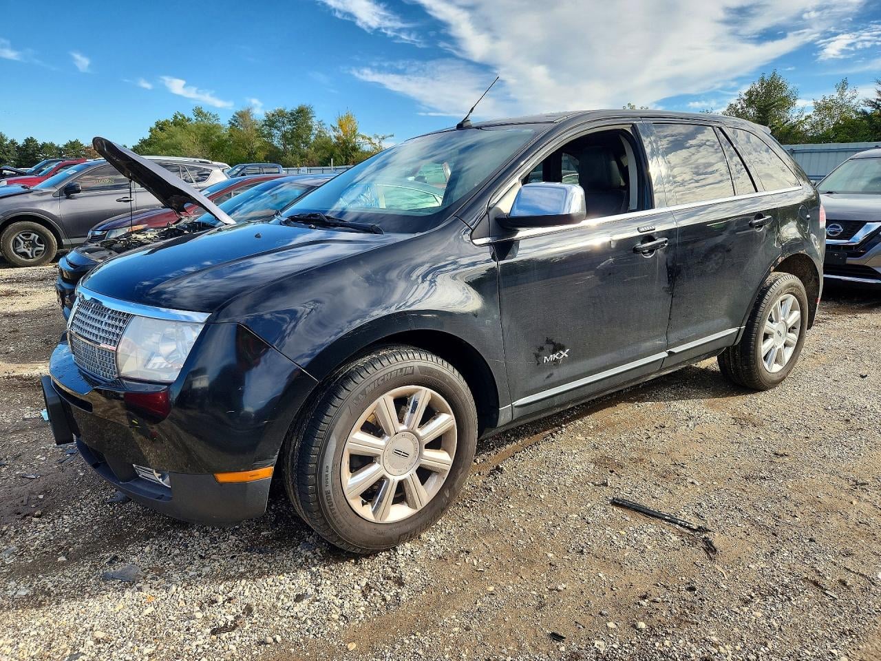 2007 LINCOLN MKX | 2LMDU88C17BJ29621 | UPCARS