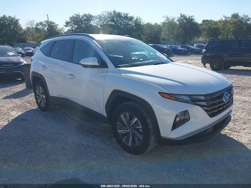 2024 HYUNDAI TUCSON HYBRID BLUE | KM8JBCD1XRU236031 | UPCARS
