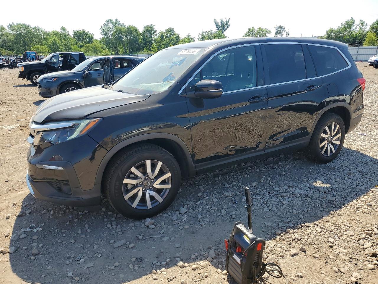 2019 HONDA PILOT EXL | 5FNYF6H58KB062996 | UPCARS