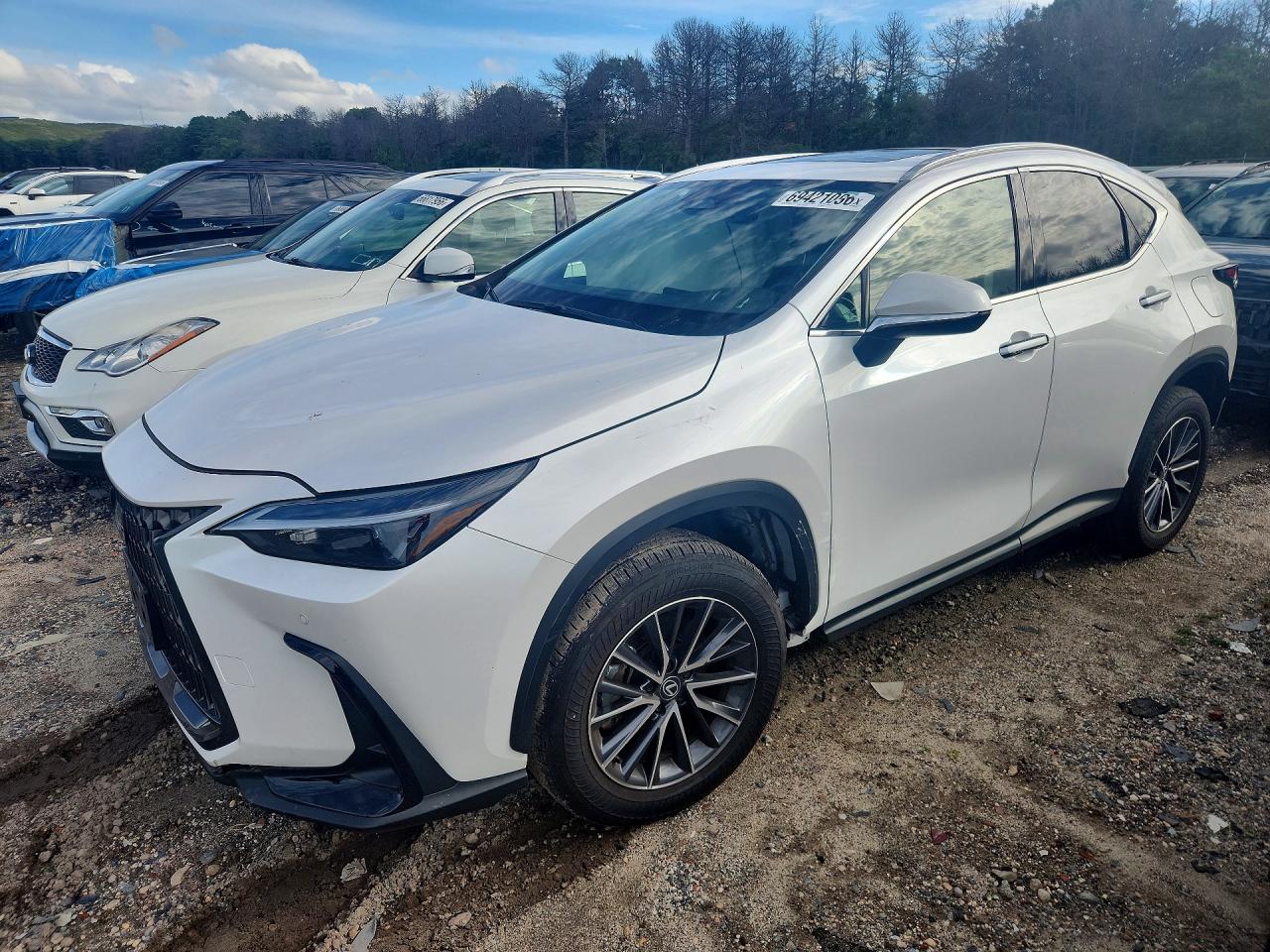 2025 LEXUS NX BASE | 2T2AGCEZ5SC083292 | UPCARS