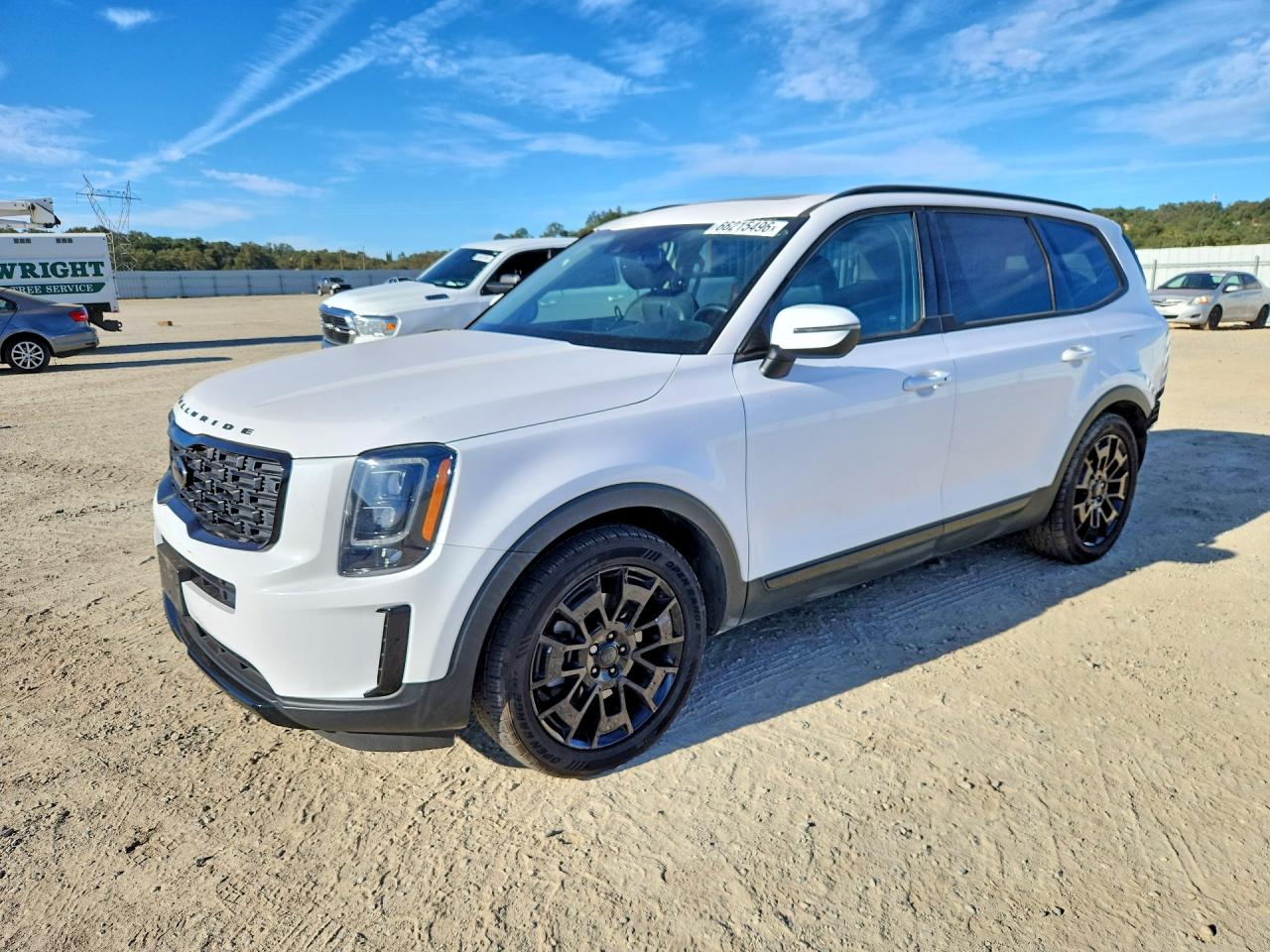2021 KIA TELLURID EX | 5XYP3DHC3MG178805 | UPCARS