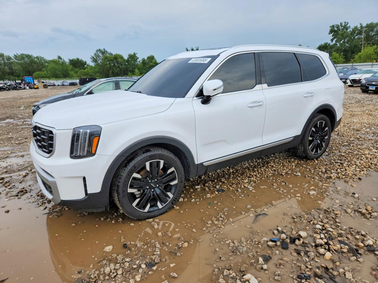 2024 KIA TELLURIDE SX-PRESTIGE | 5XYP5DGC8RG414206 | UPCARS