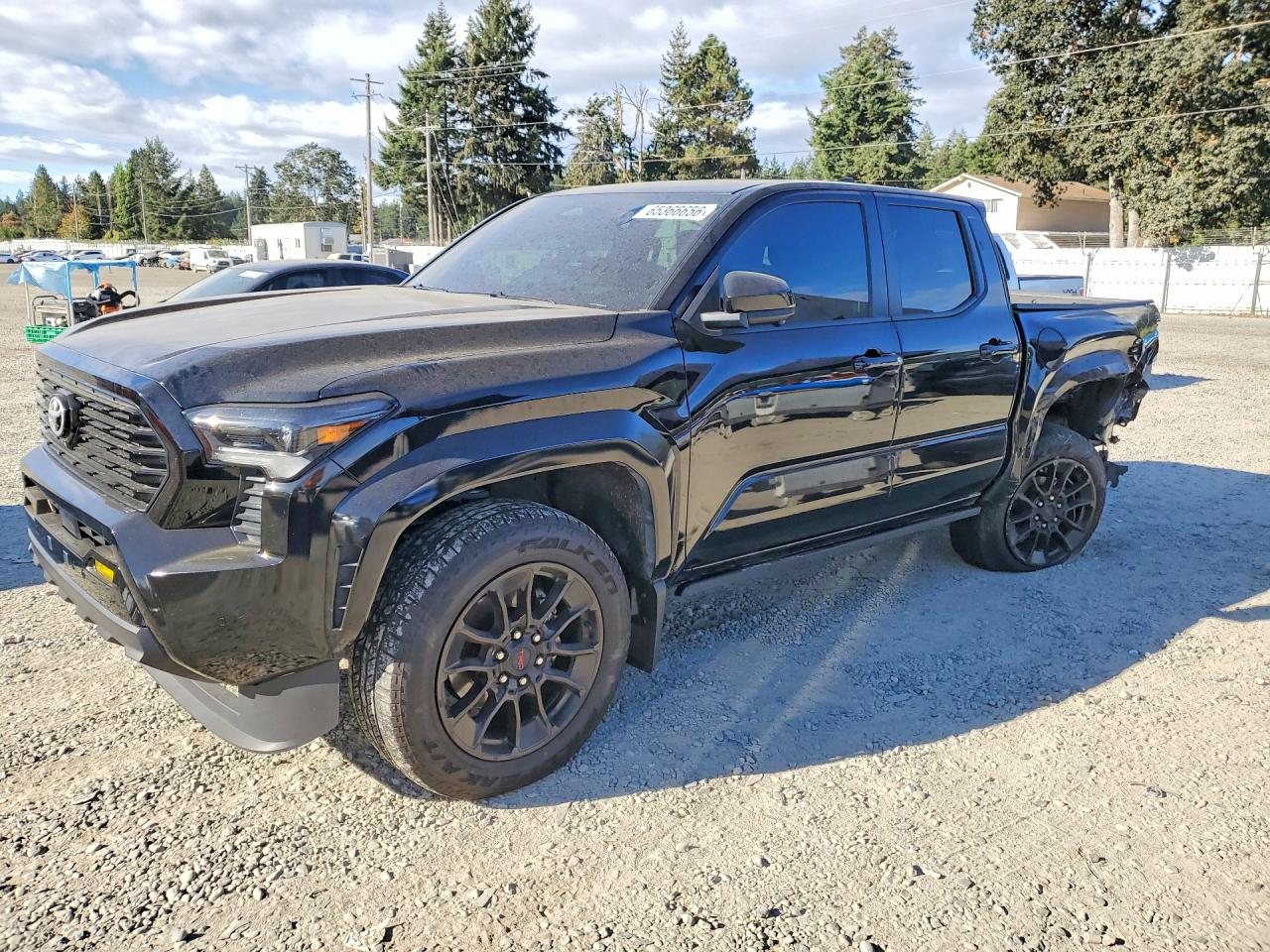 2024 TOYOTA TACOMA LIMITED | 3TMLB5JN9RM073084 | UPCARS