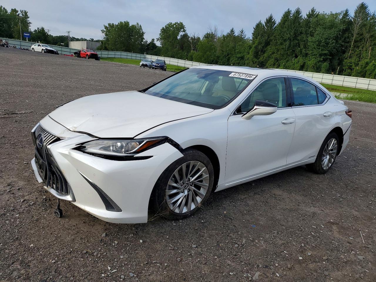 2021 LEXUS ES 300H LUXURY | 58AEA1C12MU010111 | UPCARS