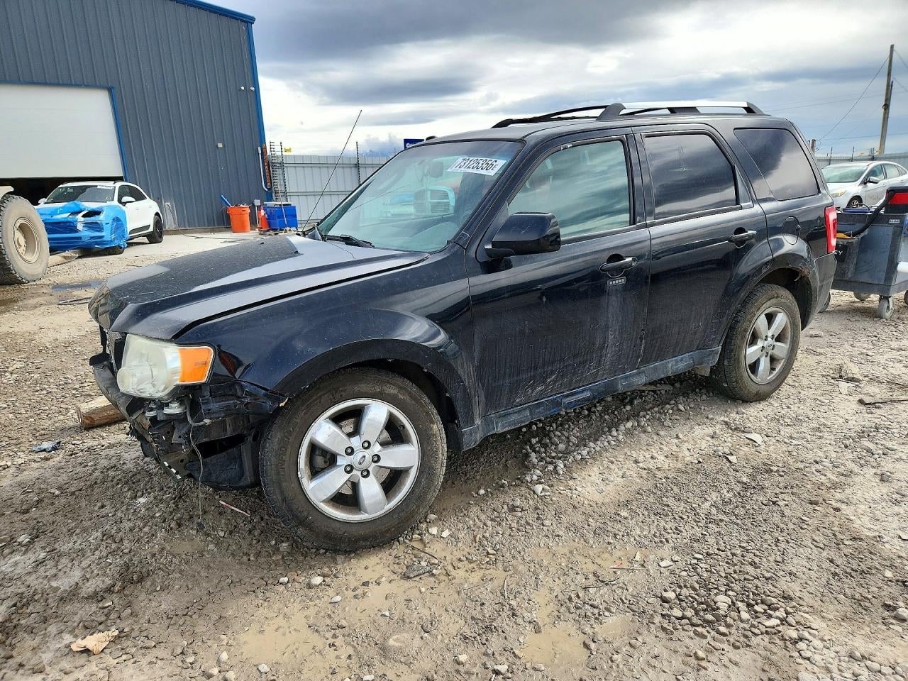 2010 FORD ESCAPE LIMITED | 1FMCU9EG0AKB08812 | UPCARS