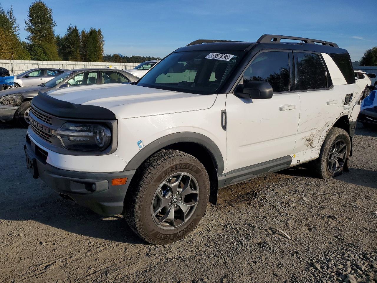 2021 FORD BRONCO BADLANDS | 3FMCR9D94MRA03209 | UPCARS