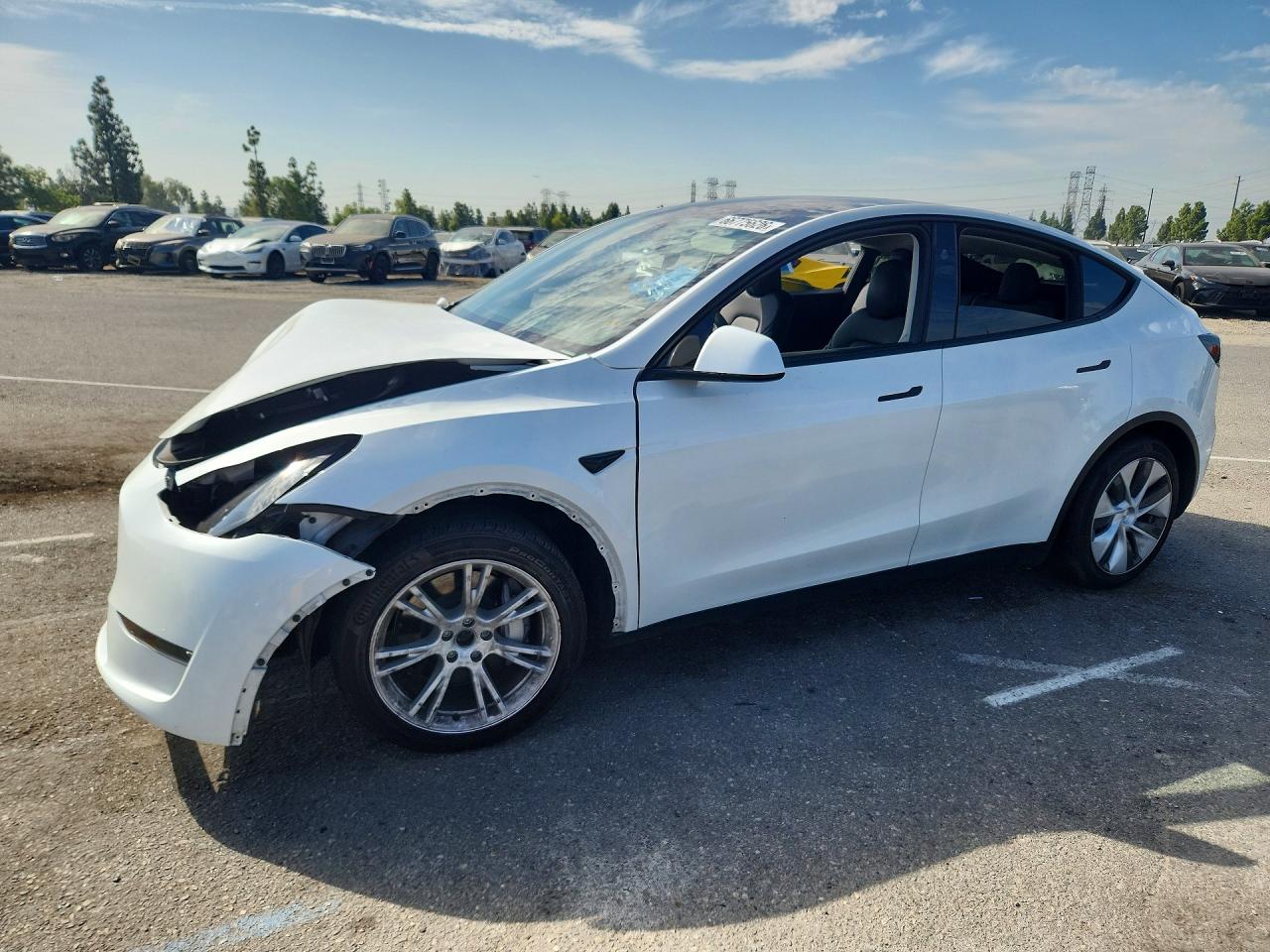 2024 TESLA MODEL Y | 7SAYGAEE5RF059930 | UPCARS