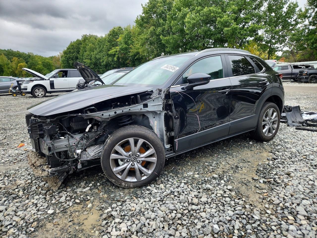 2025 MAZDA CX30 PREFERRED | 3MVDMBCM0SM753462 | UPCARS
