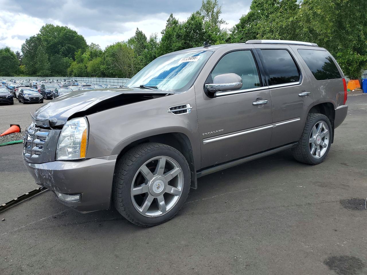 2011 CADILLAC ESCALADE PREMIUM | 1GYS4CEFXBR371123 | UPCARS