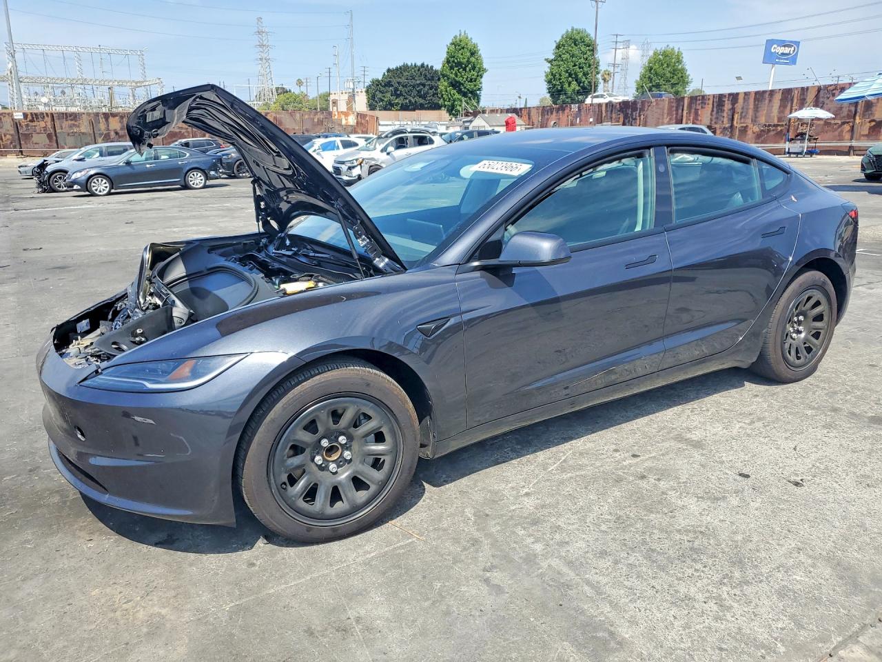 2025 TESLA MODEL 3 | 5YJ3E1EA9SF136685 | UPCARS