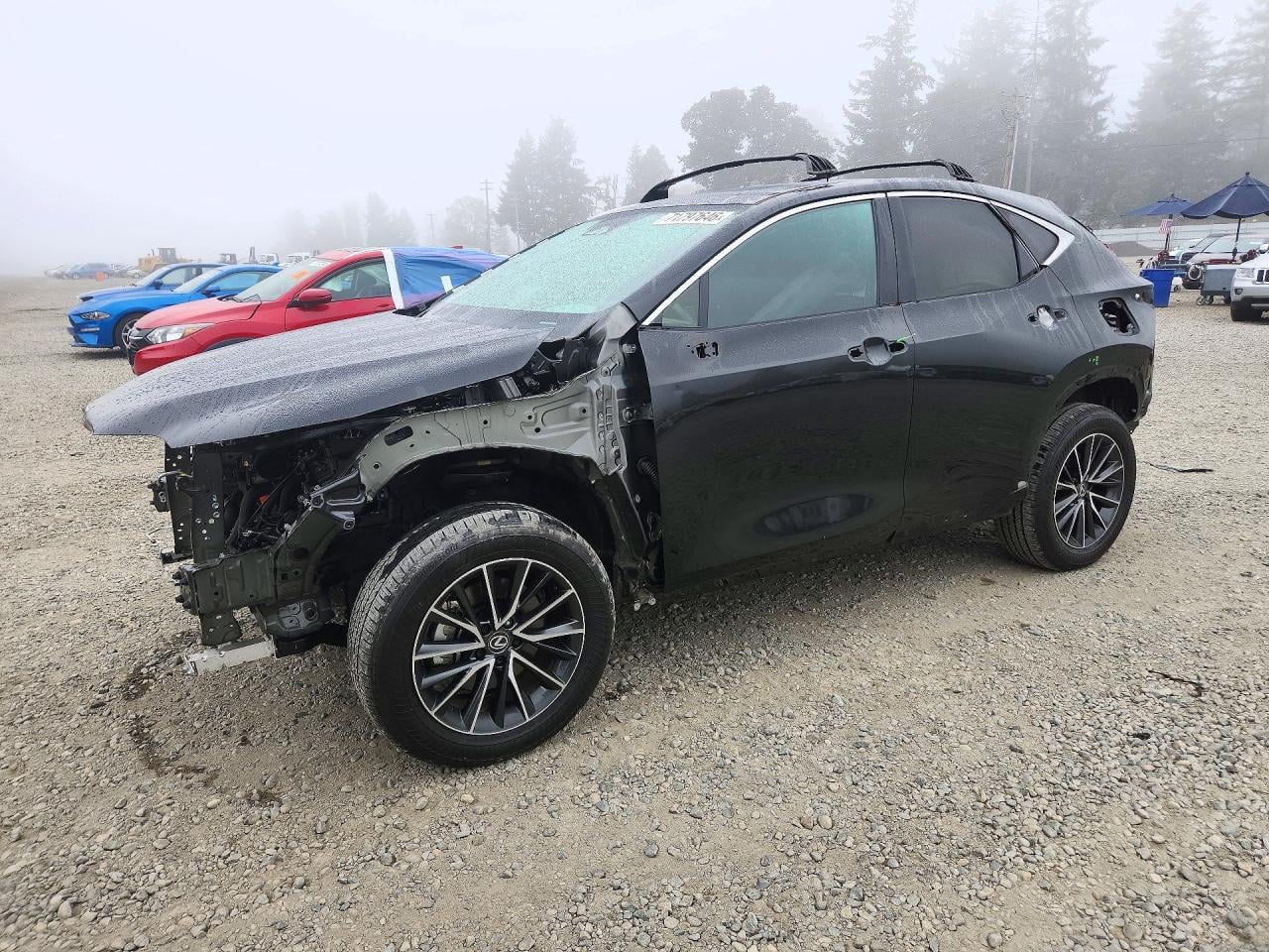 2025 LEXUS NX | JTJGKCEZ1S5026594 | UPCARS