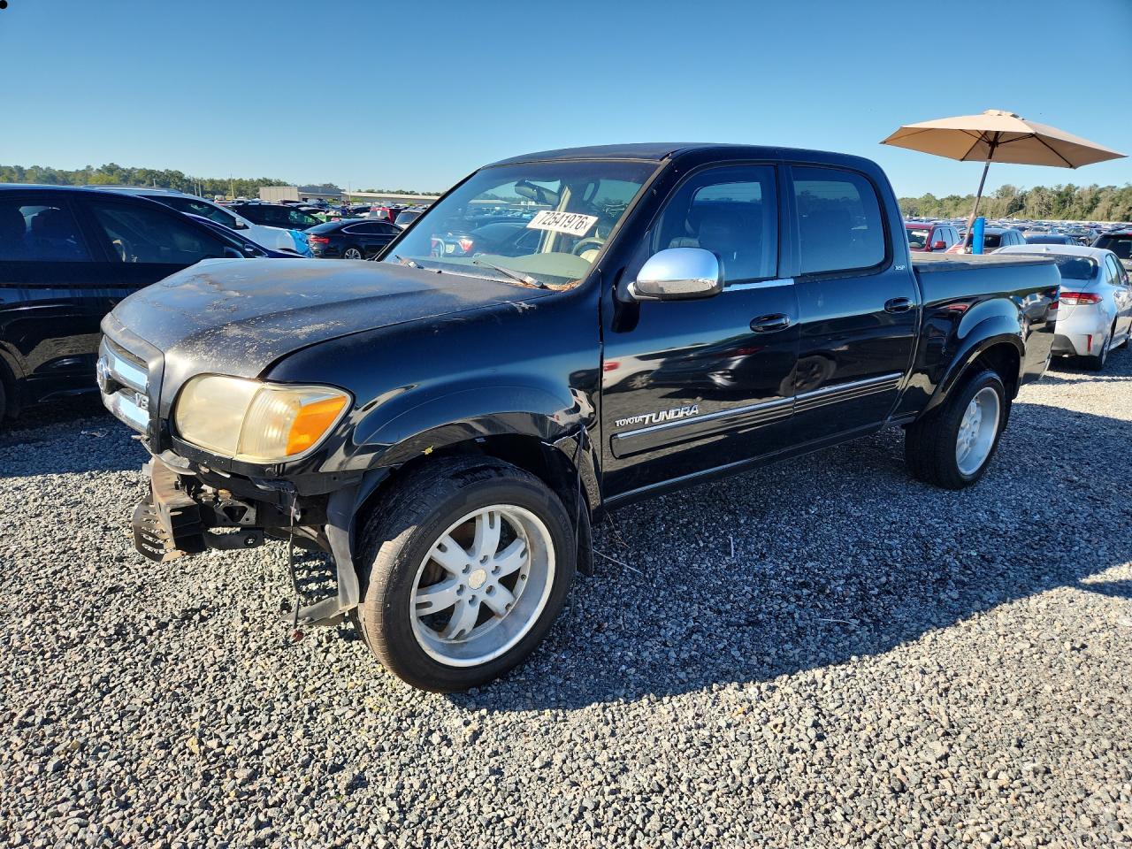 2006 TOYOTA TUNDRA DOUBLE CAB SR5 | 5TBET34136S560465 | UPCARS