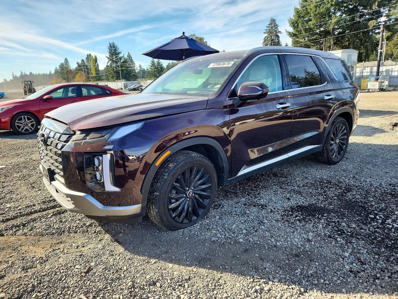 2025 HYUNDAI PALISADE LIMITED | KM8R5DGE5SU817277 | UPCARS