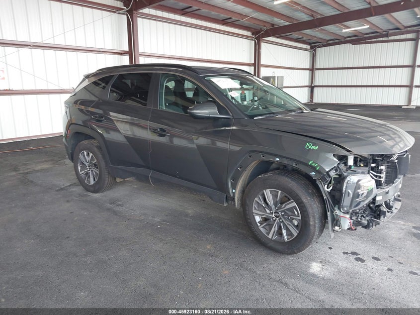 2022 HYUNDAI TUCSON HYBRID BLUE | KM8JBCA10NU076921 | UPCARS
