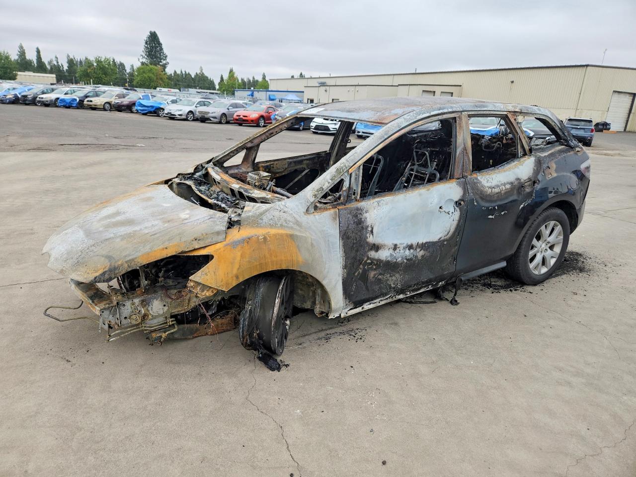 2009 MAZDA CX-7 | JM3ER29LX90228368 | UPCARS