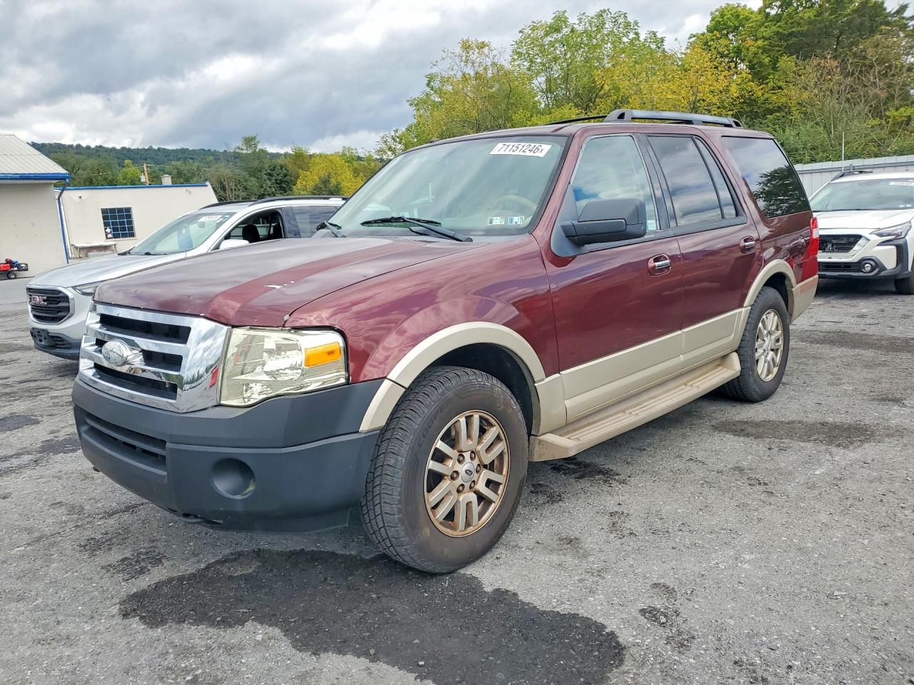 2009 FORD EXPEDITION EDDIE BAUER | 1FMFU18529EA71250 | UPCARS