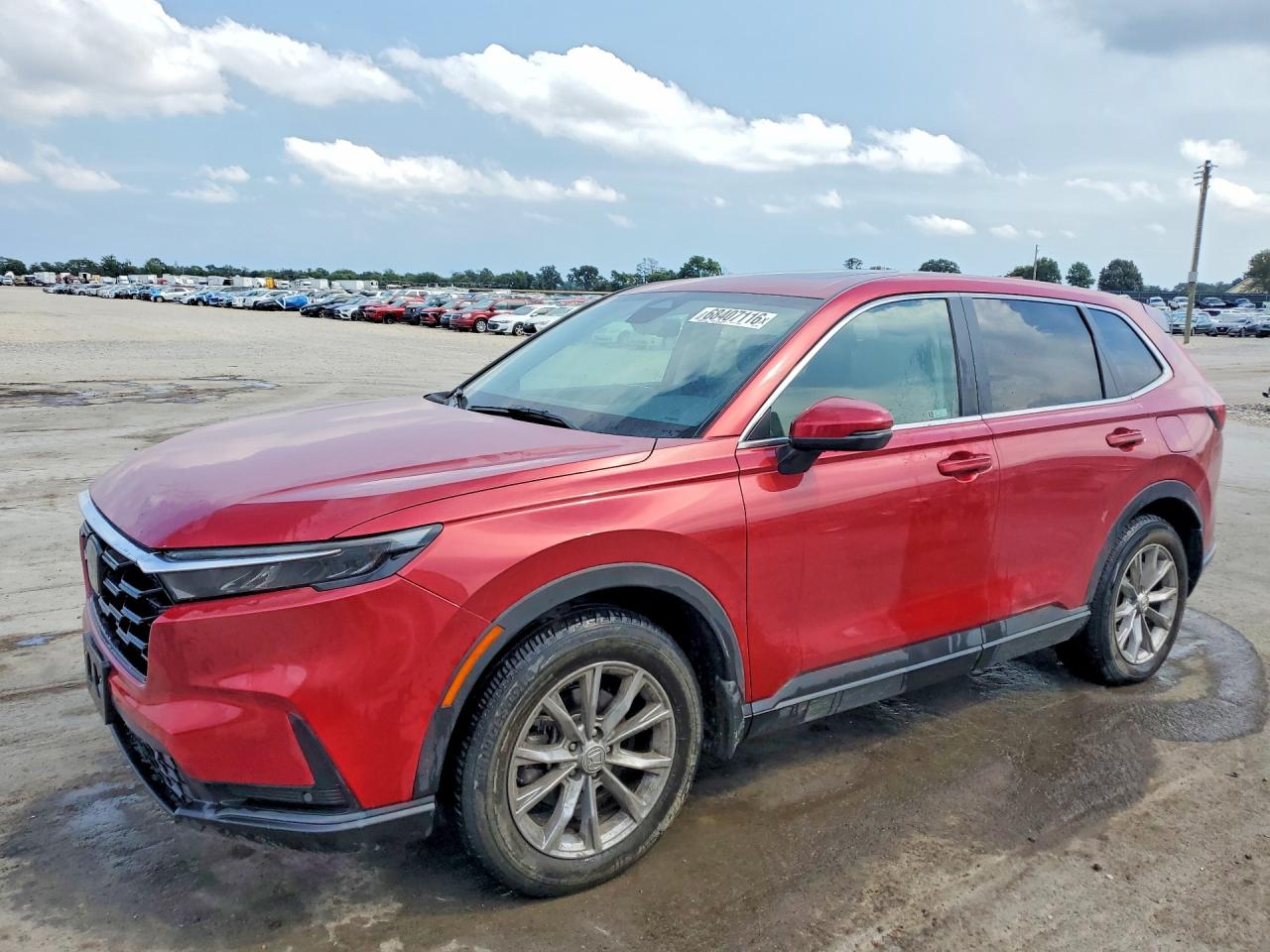 2023 HONDA CRV EXL | 2HKRS4H70PH419635 | UPCARS