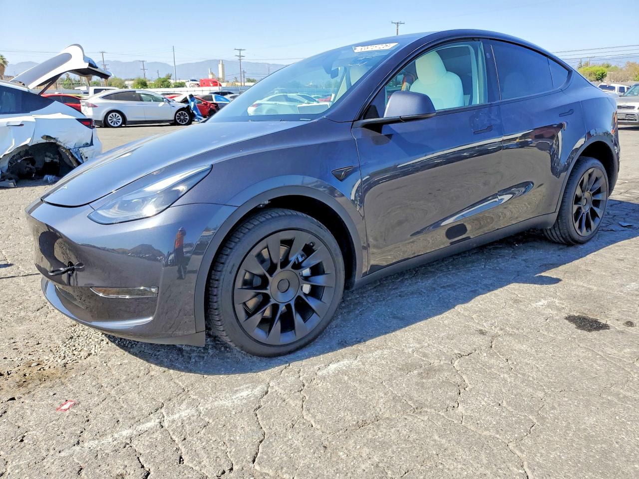 2024 TESLA MODEL Y | 7SAYGDEE2RF082552 | UPCARS