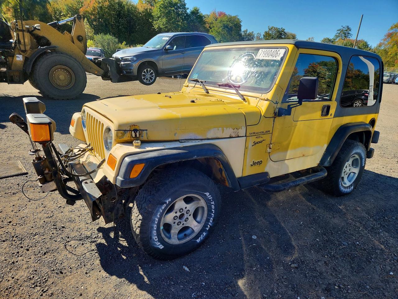 2001 JEEP WRANGLER SPORT | 1J4FA49S11P349822 | UPCARS