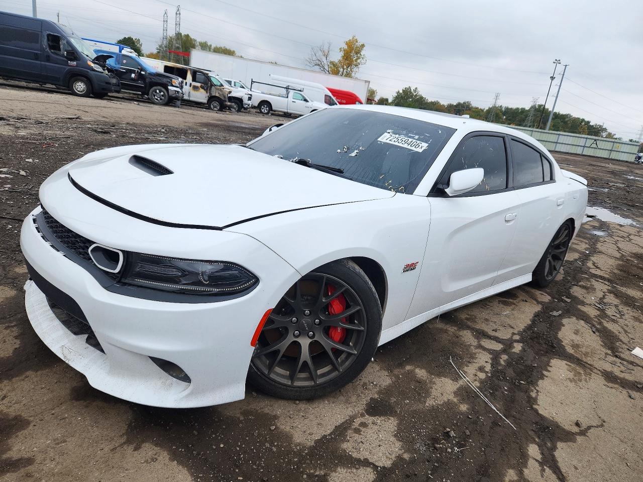 2018 DODGE CHARGER SRT 392 | 2C3CDXEJ5JH316281 | UPCARS