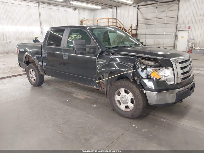 2010 FORD F-150 FX4/HARLEY-DAVIDSON/KING RANCH/LARIAT/PLATINUM/XL/XLT | 1FTFW1EV1AFC31037 | UPCARS