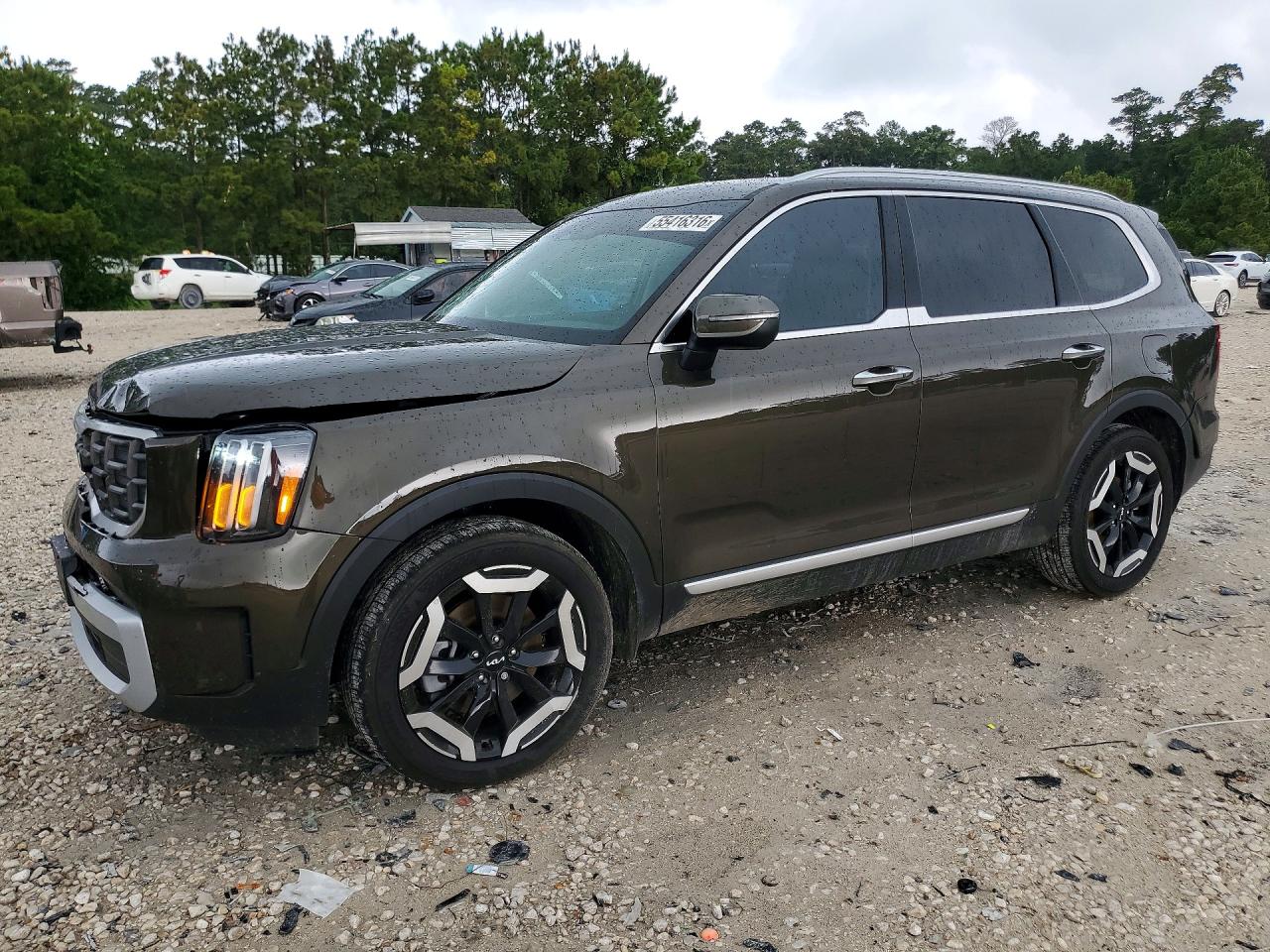 2025 KIA TELLURIDE S | 5XYP64GCXSG702926 | UPCARS