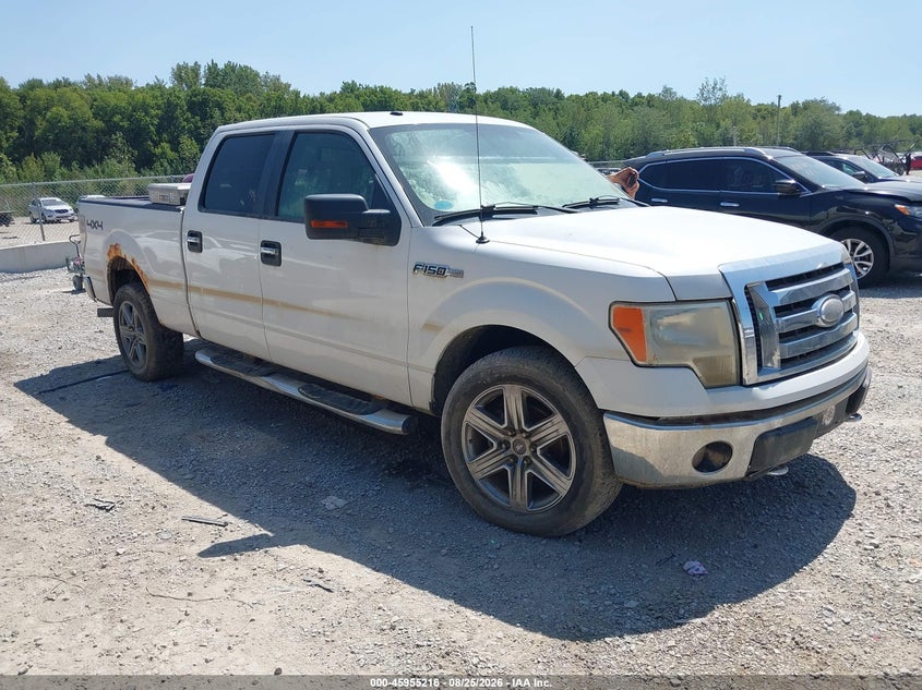 2009 FORD F-150 XLT | 1FTPW14V69FB43439 | UPCARS