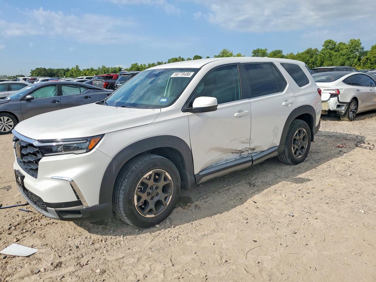 2024 HONDA PILOT EXL | 5FNYG2H42RB007323 | UPCARS