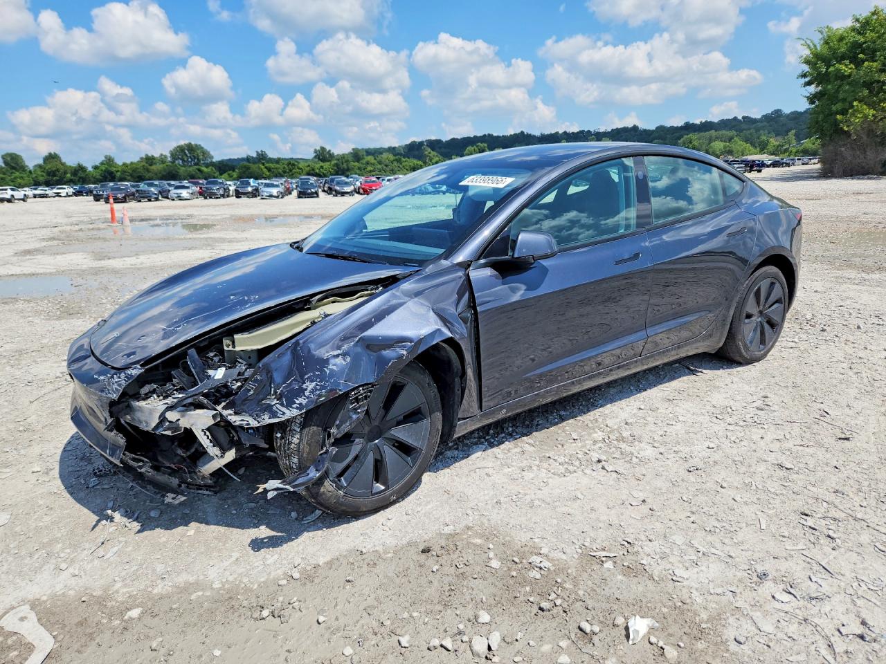 2025 TESLA MODEL 3 | 5YJ3E1EB7SF937754 | UPCARS