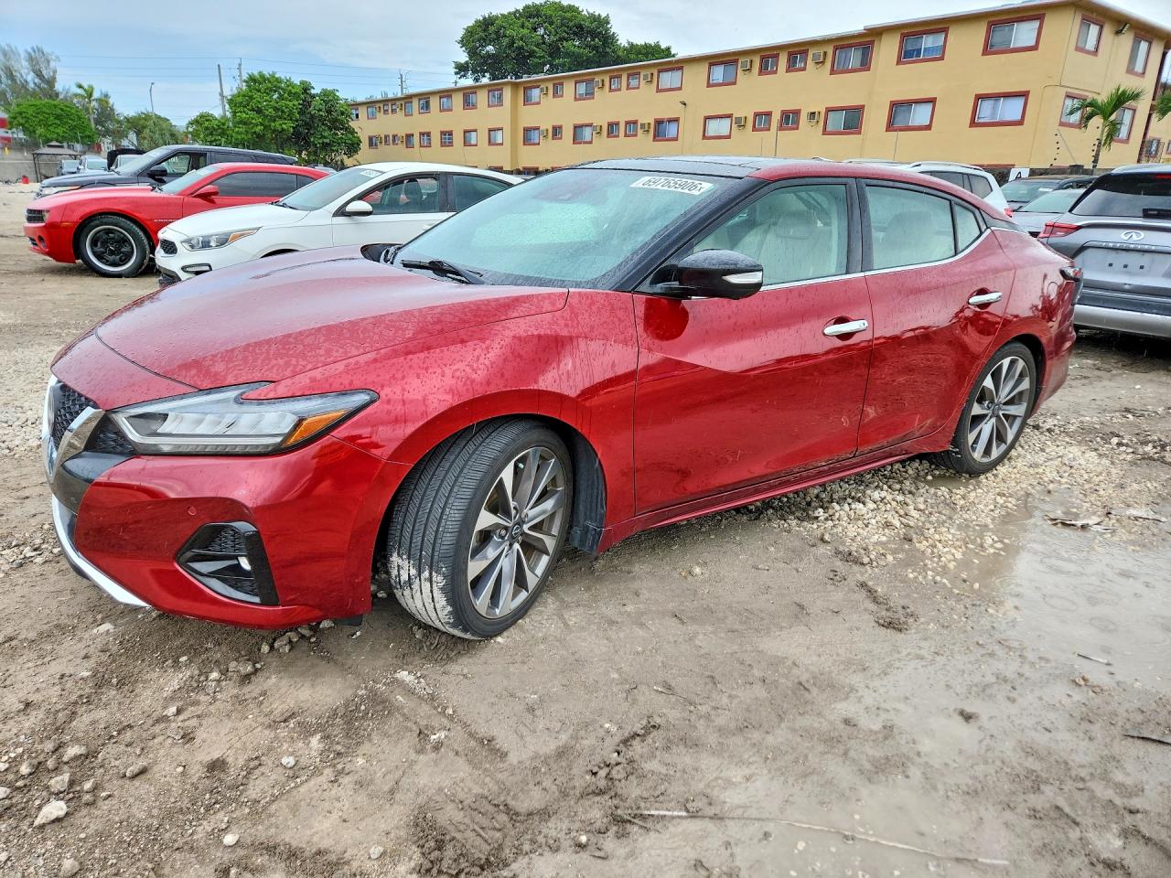 2023 NISSAN MAXIMA PLATINUM | 1N4AA6FV8PC507847 | UPCARS