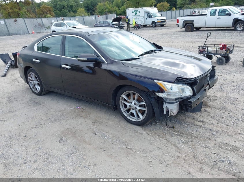 2010 NISSAN MAXIMA 3.5 SV | 1N4AA5AP8AC857439 | UPCARS