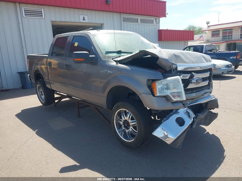 2013 FORD F-150 XLT | 1FTEW1CMXDKG31647 | UPCARS