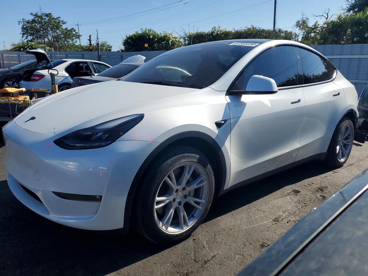 2024 TESLA MODEL Y | 7SAYGDEE0RF066981 | UPCARS