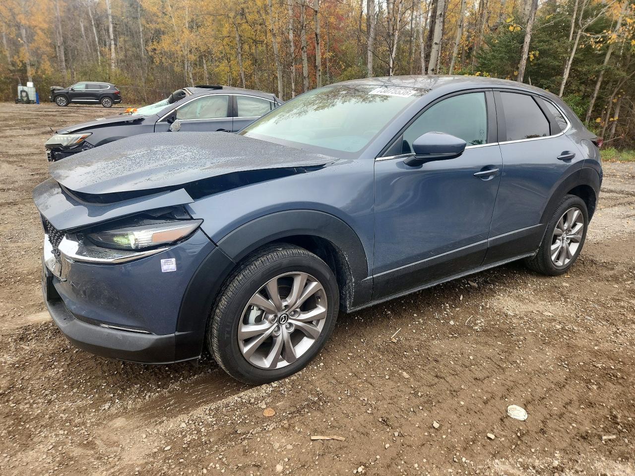 2020 MAZDA CX30 SELECT | 3MVDMBCL8LM126324 | UPCARS