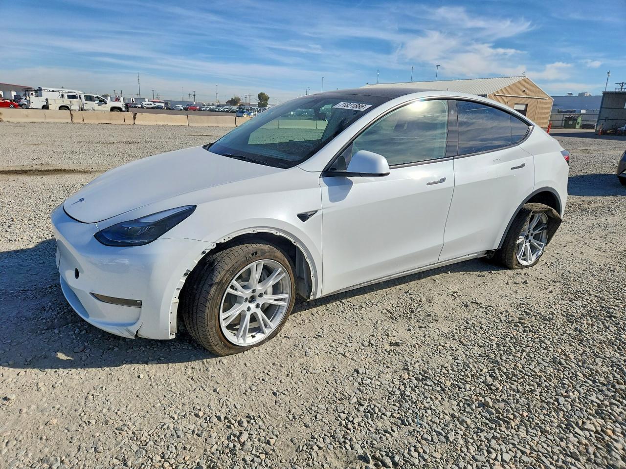 2023 TESLA MODEL Y | 7SAYGDEE8PF713169 | UPCARS