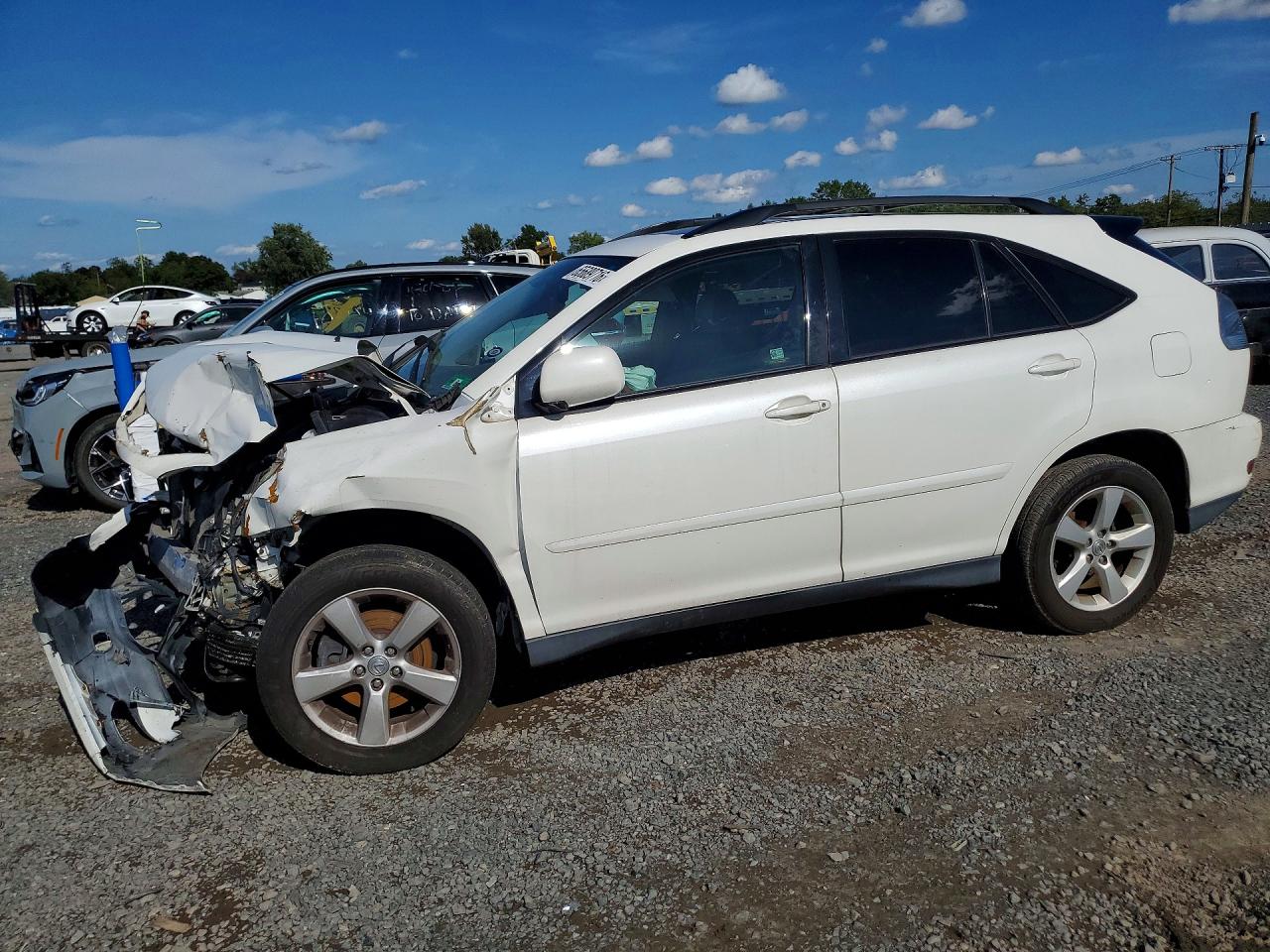 2004 LEXUS RX 330 | 2T2HA31U74C013290 | UPCARS