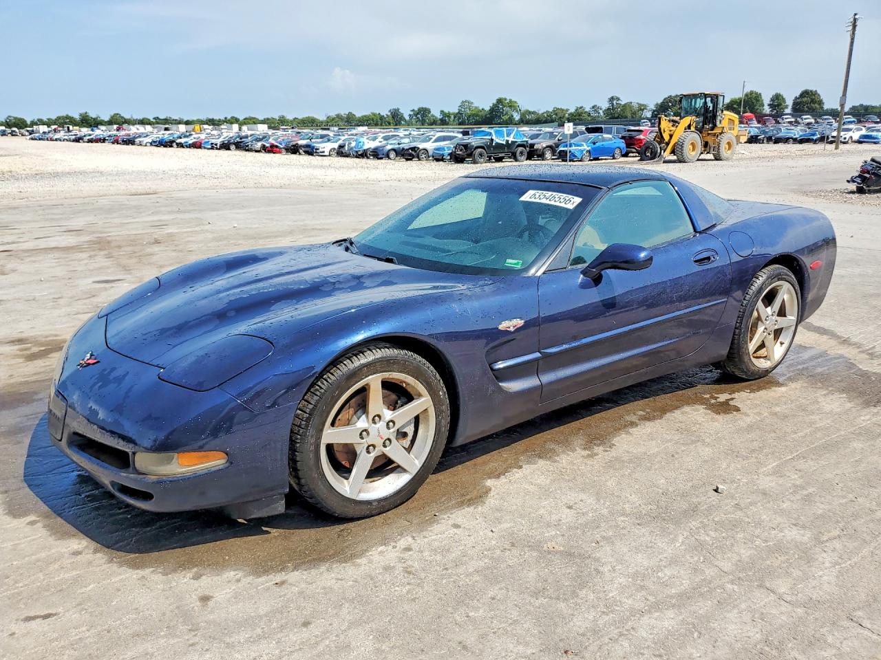 1999 CHEVROLET CORVETTE | 1G1YY22G6X5125527 | UPCARS