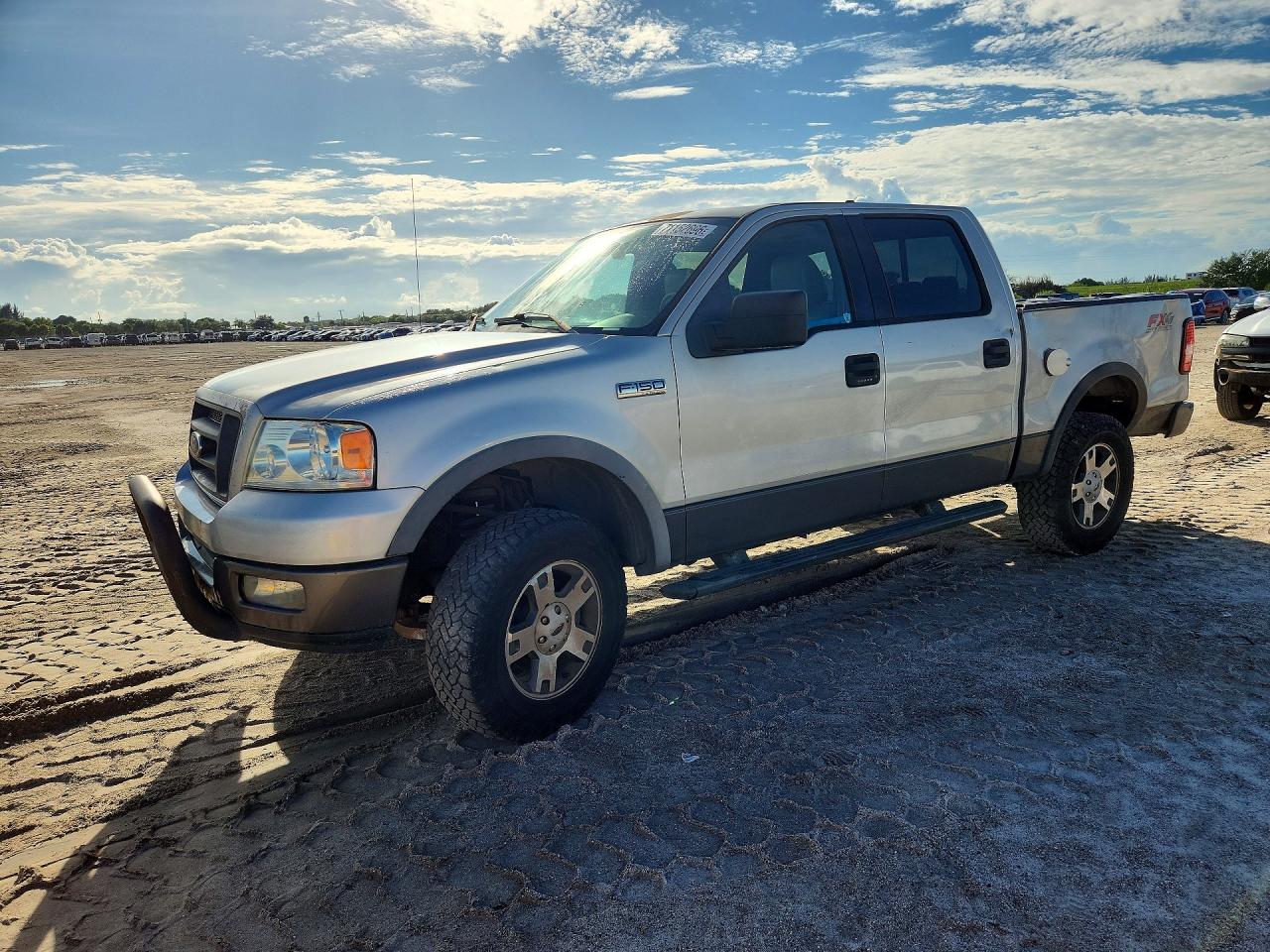 2005 FORD F150 SUPERCREW | 1FTPW14525KD49102 | UPCARS