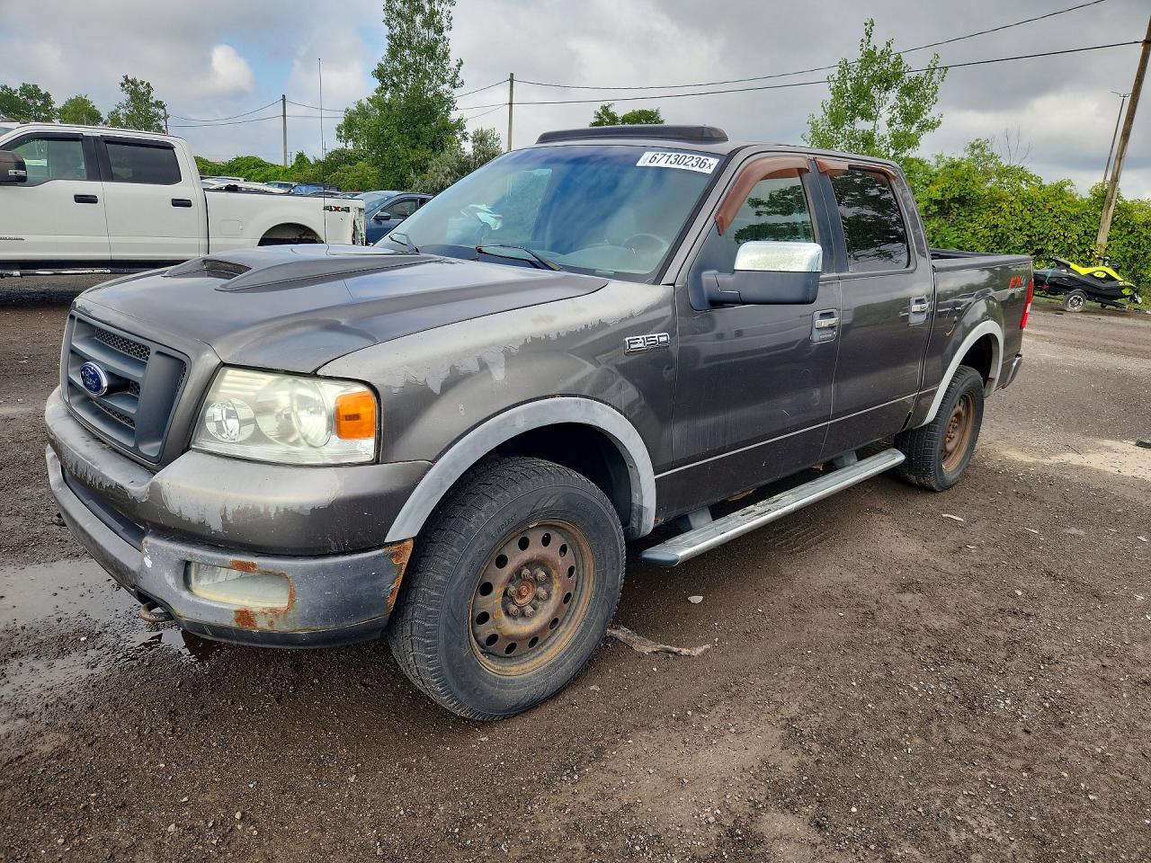 2005 FORD F150 SUPERCREW | 1FTPW14565FB48828 | UPCARS