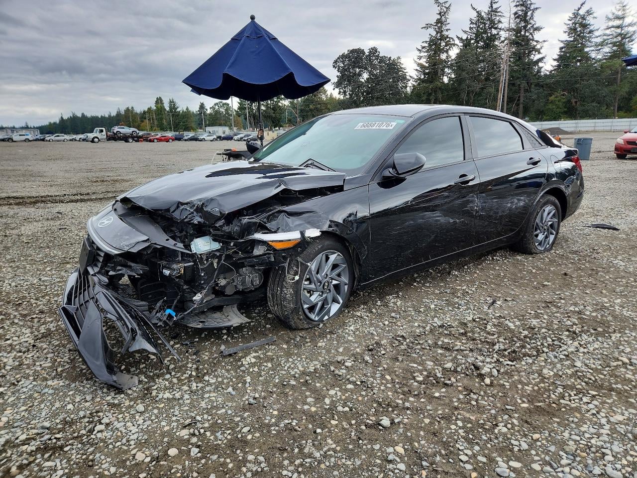 2025 HYUNDAI ELANTRA BLUE | KMHLM4DJ9SU160624 | UPCARS