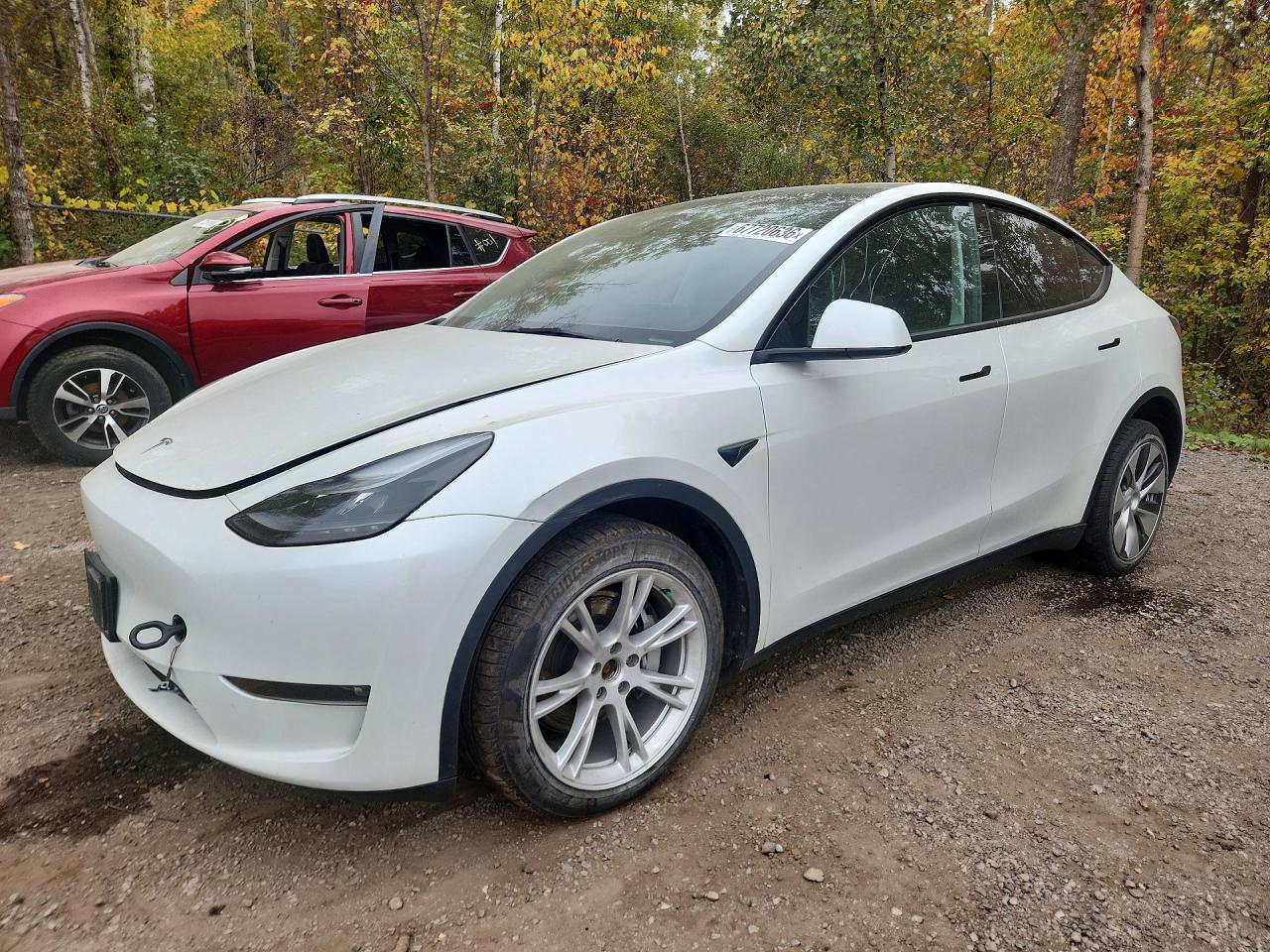 2023 TESLA MODEL Y | 7SAYGDEE4PF775149 | UPCARS