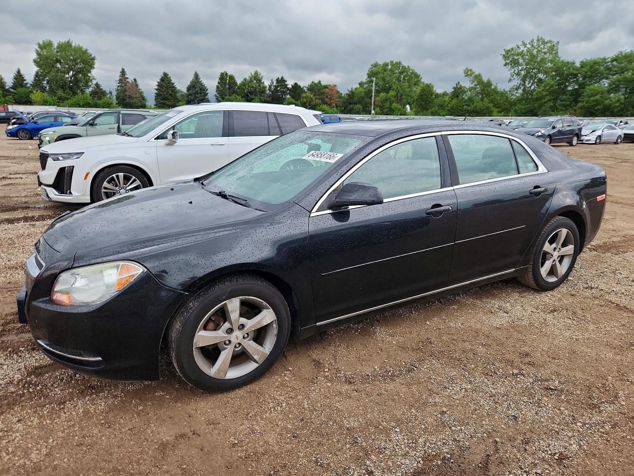 2011 CHEVROLET MALIBU 1LT | 1G1ZC5E15BF302843 | UPCARS