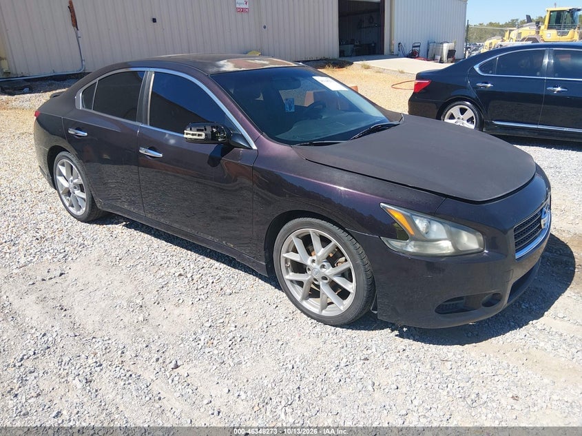 2011 NISSAN MAXIMA 3.5 SV | 1N4AA5AP0BC848784 | UPCARS
