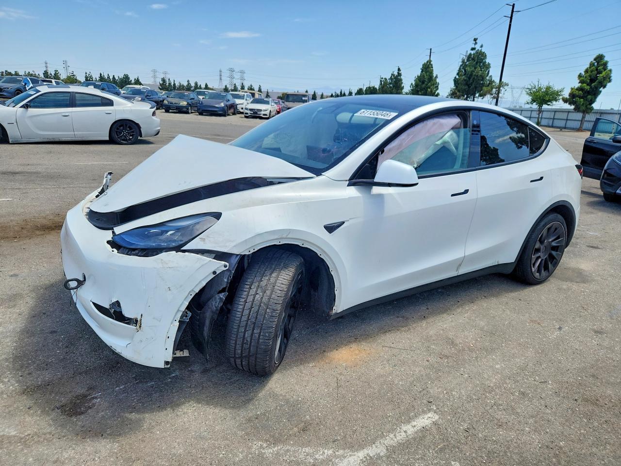 2023 TESLA MODEL Y | 7SAYGAEE6PF697231 | UPCARS