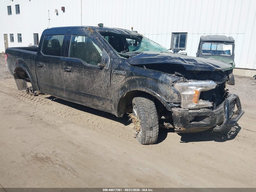 2019 FORD F-150 XLT | 1FTEW1E50KFC38817 | UPCARS