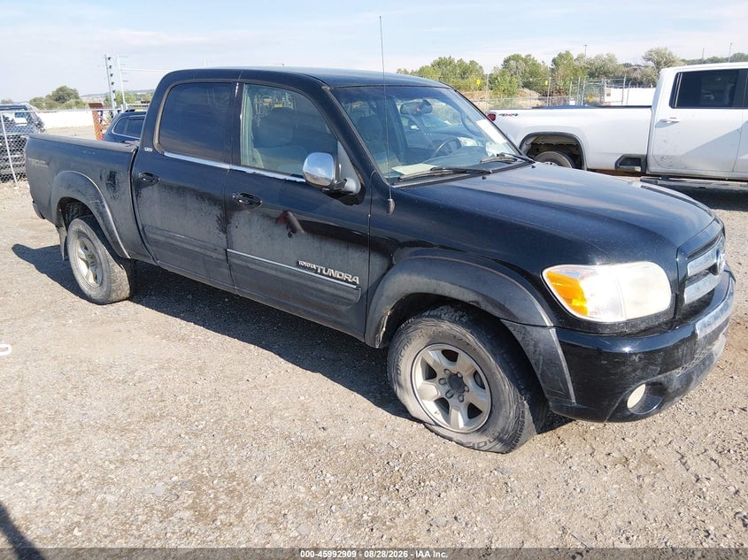 2005 TOYOTA TUNDRA SR5 V8 | 5TBDT44145S492676 | UPCARS